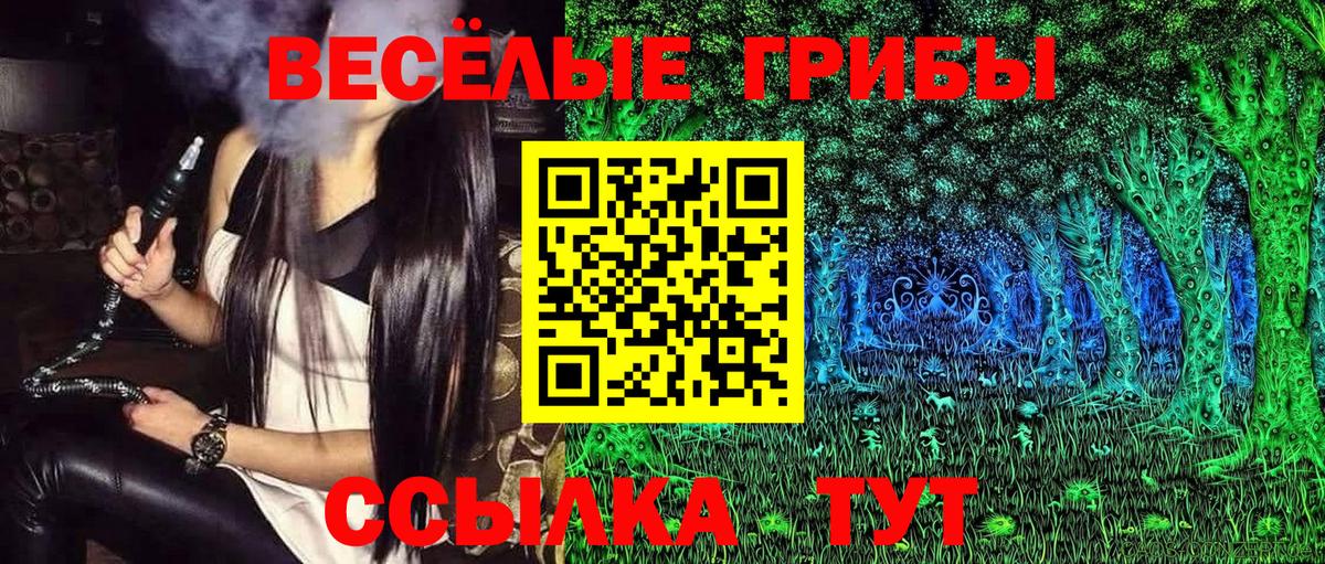 Псилоцибиновые грибы MAGIC MUSHROOMS Тара