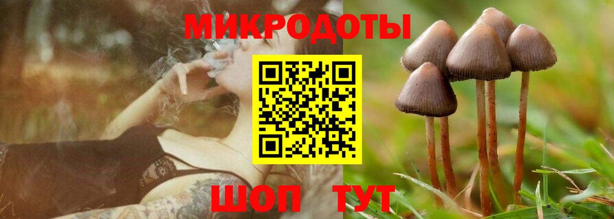 Тара  Галлюциногенные грибы Psilocybe  Псилоцибиновые грибы MAGIC MUSHROOMS  Вход с VPN 